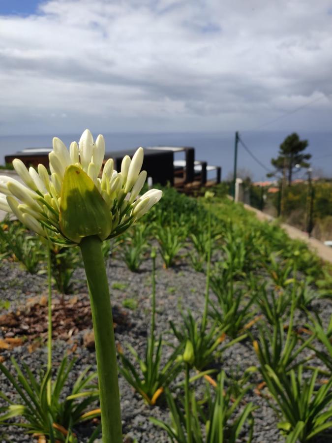 Calheta Glamping Pods - Nature Retreat Exterior photo